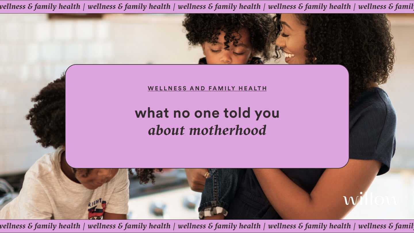 The Motherload: What No One Told You About Motherhood – Willow Pump